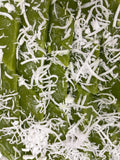 Pandan Custard Tray (Preorder)